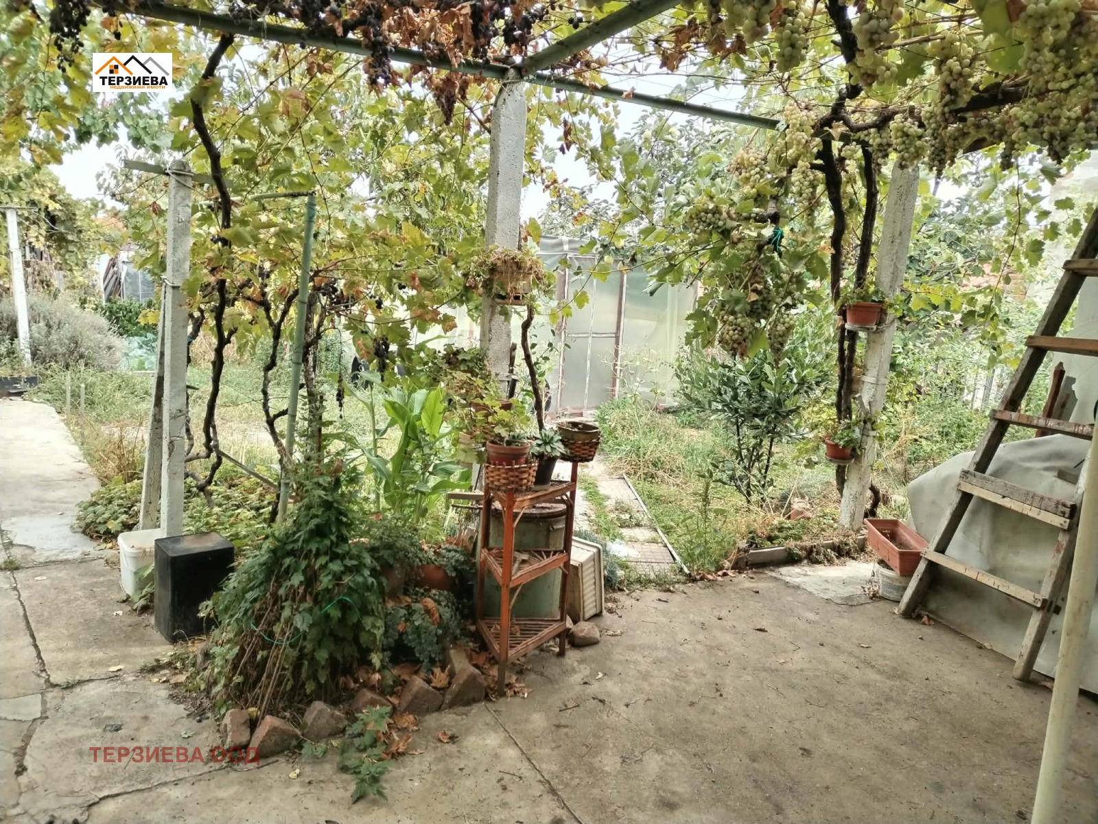 Продава КЪЩА, с. Хрищени, област Стара Загора, снимка 6 - Къщи - 56224483