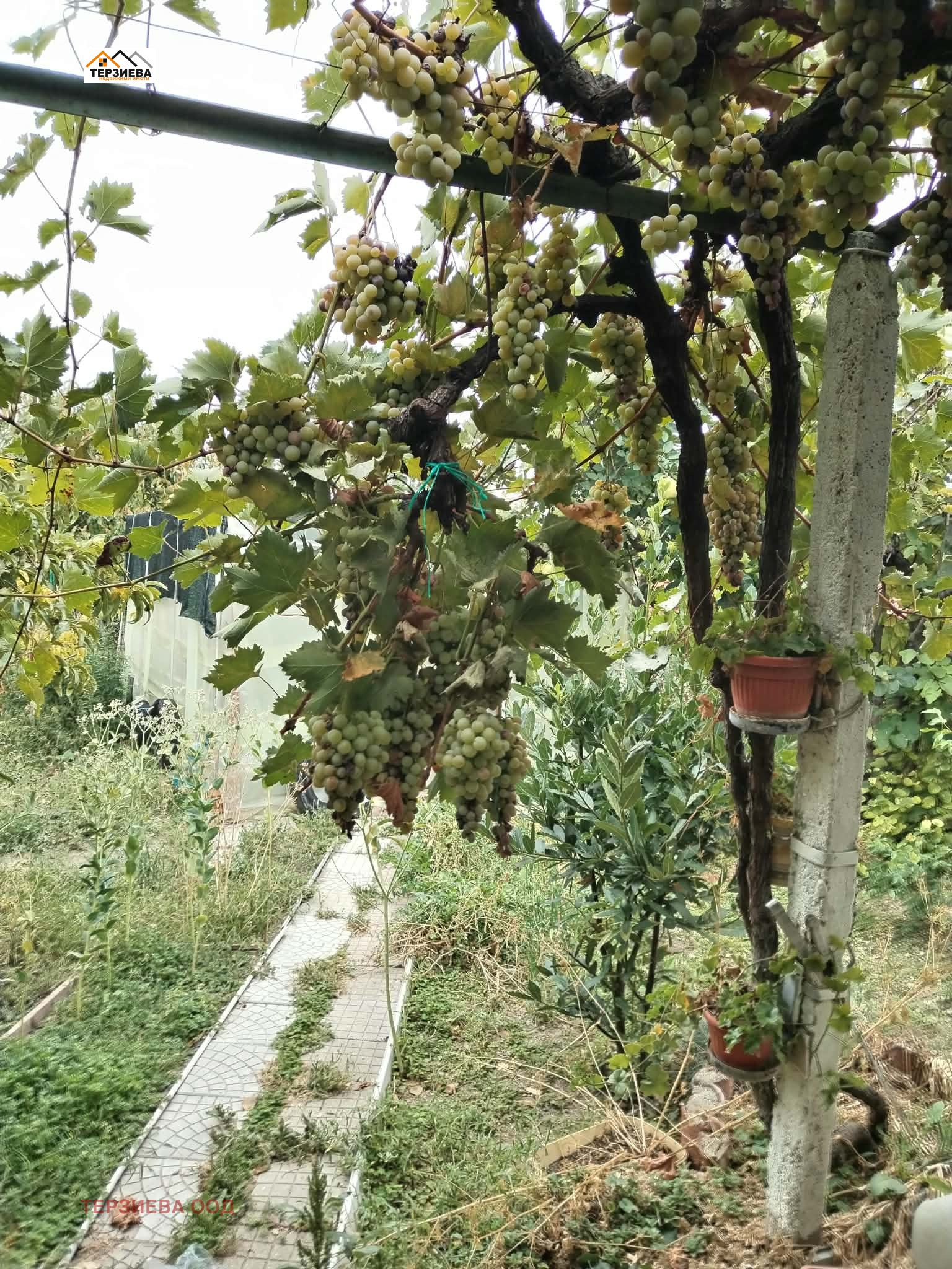 Продава КЪЩА, с. Хрищени, област Стара Загора, снимка 2 - Къщи - 56224483