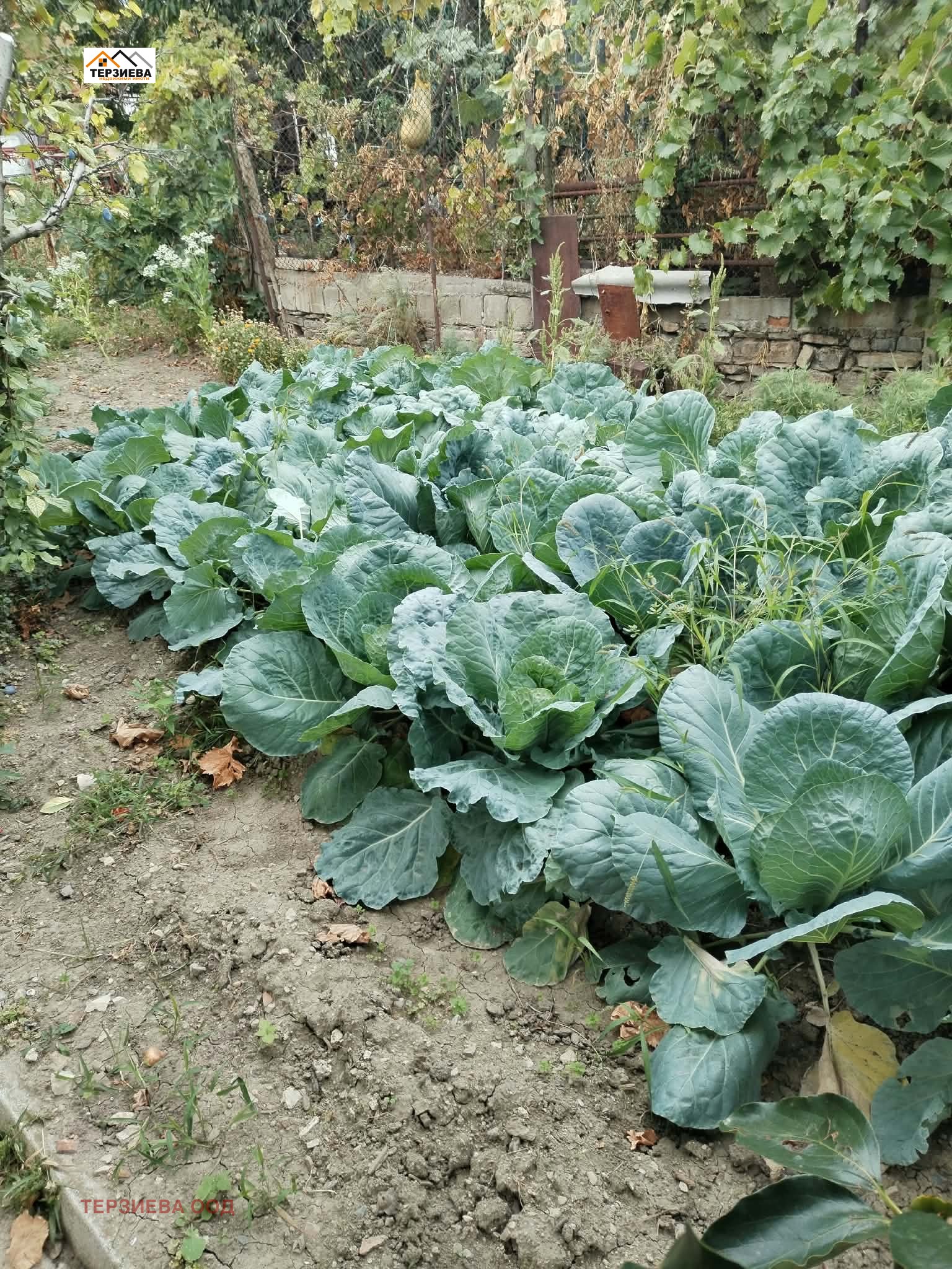 Продава КЪЩА, с. Хрищени, област Стара Загора, снимка 3 - Къщи - 56224483