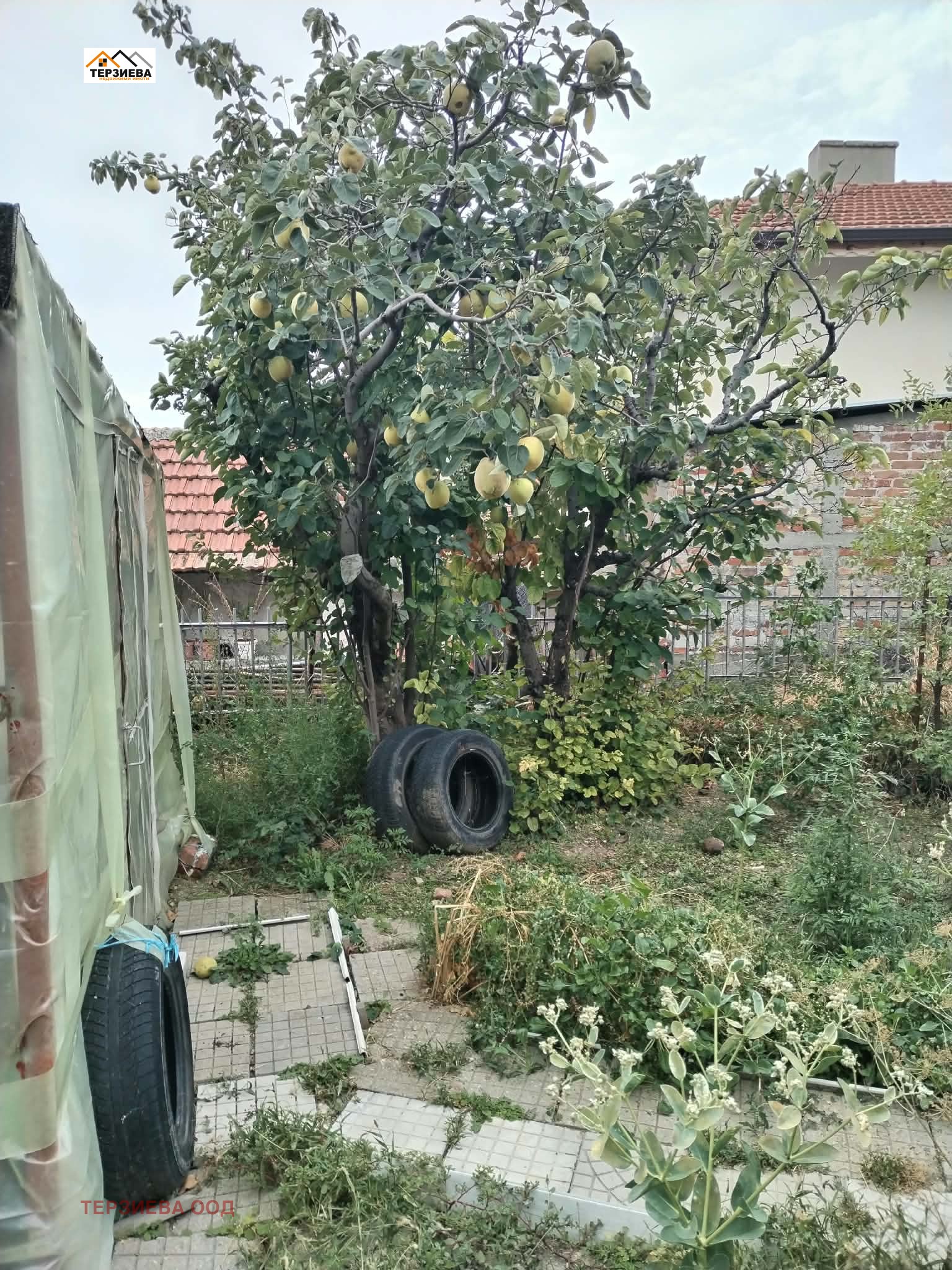 Продава КЪЩА, с. Хрищени, област Стара Загора, снимка 5 - Къщи - 56224483