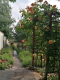 Продава КЪЩА, гр. София, Симеоново, снимка 10