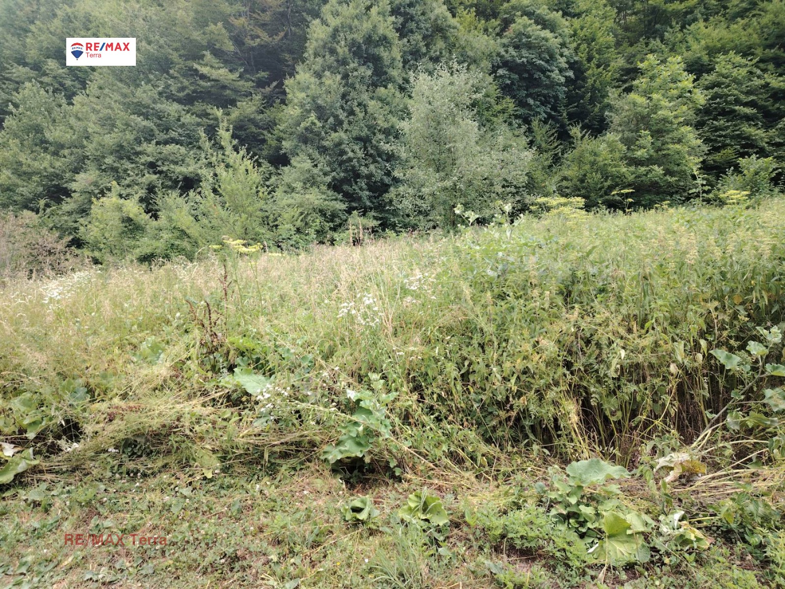 Продава ПАРЦЕЛ | Imot.bg — изображение 5