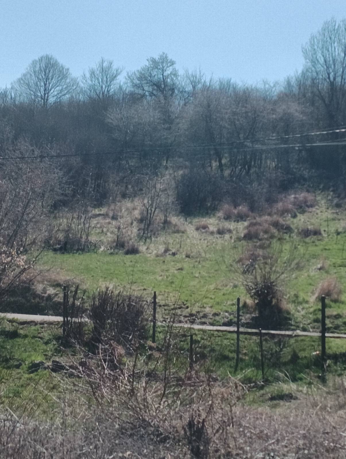 ������� ������ | Imot.bg � ����������� 1