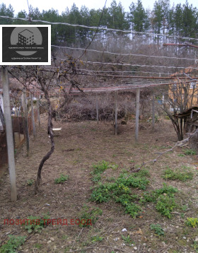 ����� ������� ����,�. ���������, ������ ���������