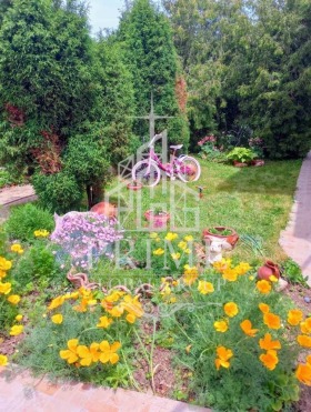 ������� ���� | Imot.bg � ����� ������ 12