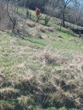 ������� ������ | Imot.bg � ����� ������ 2