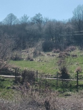 ������ ������� ������