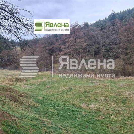For Sale  Plot region Pazardzhik , Velingrad , 7000 sq.m | 37345842 - image [2]