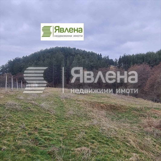 Продава  Парцел, област Пазарджик, гр. Велинград •  700 000 EUR • ID 33604566 — holmes.bg - [1] 