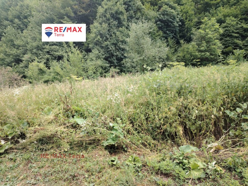 Eladó  Cselekmény régió Lovech , Ribarica , 1291 négyzetméter | 46458954 - kép [4]
