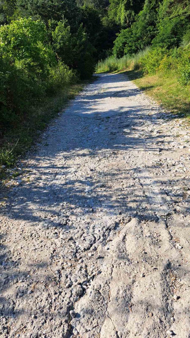 Till salu  Komplott region Plovdiv , Car Kalojan , 4600 kvm | 19011747 - bild [6]