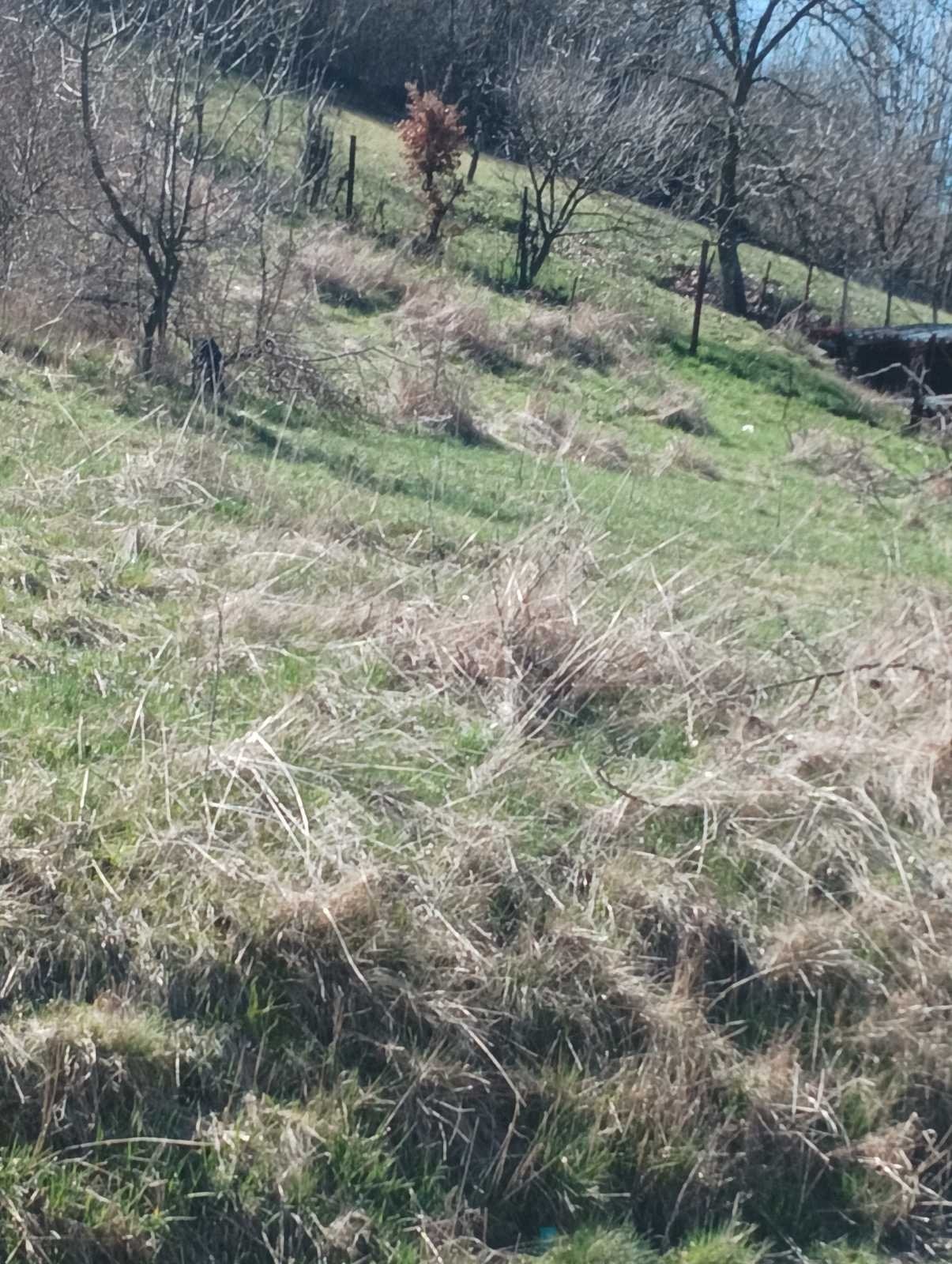 Продава ПАРЦЕЛ, с. Кралев дол, област Перник, снимка 2 - Парцели - 54166011