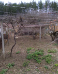 Продава КЪЩА, с. Невестино, област Кюстендил, снимка 1