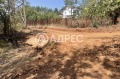 Продава ПАРЦЕЛ, град София, с. Войнеговци • 80000 € • 89589425 — Holmes.bg