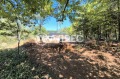 Продава ПАРЦЕЛ, град София, с. Войнеговци • 80000 € • 89589425 — Holmes.bg