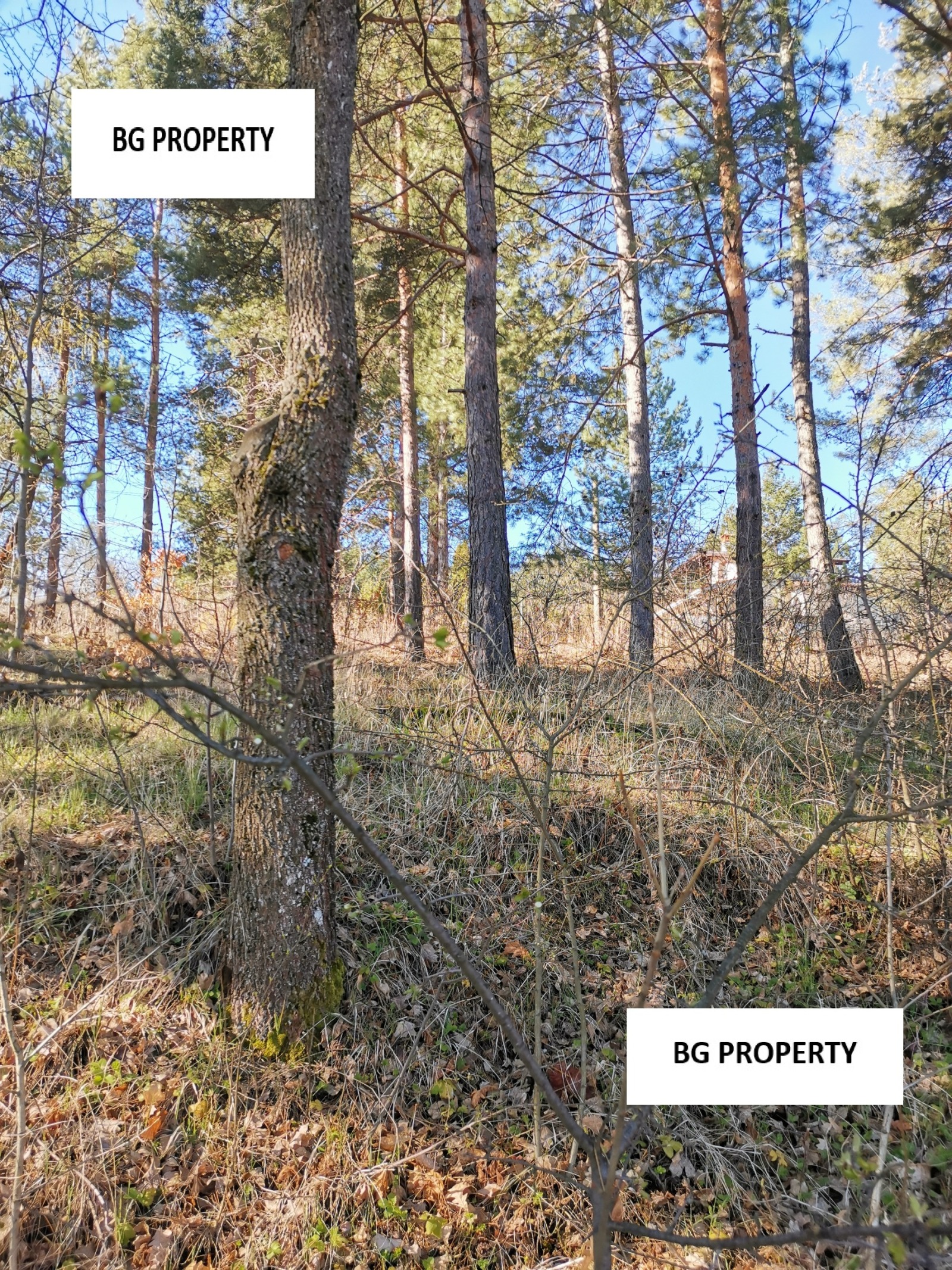 ������� ������ | Imot.bg � ����������� 2