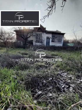 ����� ������� ����,���� ������, ����� �������