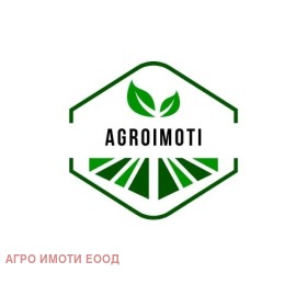 ����� ������� �����,���� �����, ������ ������ 2