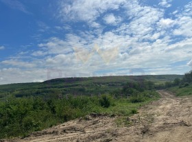 Plot Dolishte, region Varna