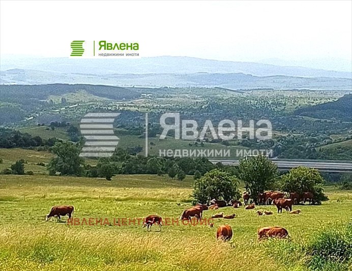 Продава КЪЩА, с. Големо Бучино, област Перник, снимка 7 - Къщи - 48105877