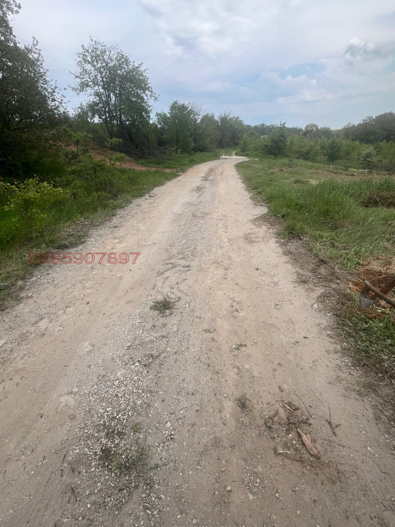 Zu verkaufen  Handlung region Varna , Priselzi , 1054 qm | 68260494 - Bild [11]