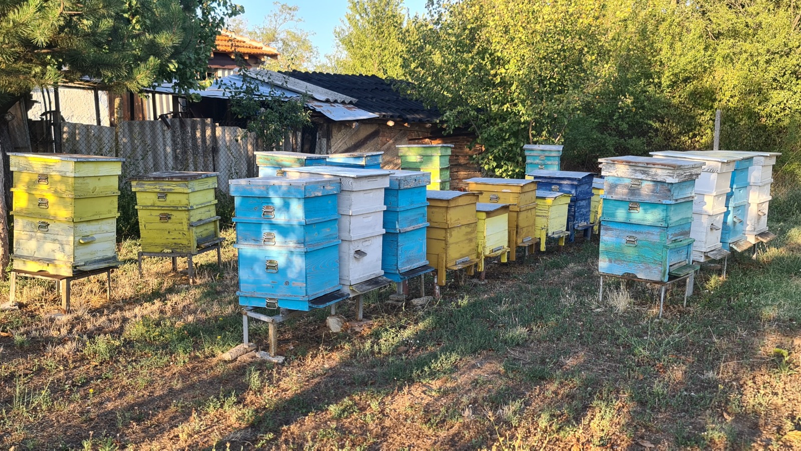 Продава КЪЩА, с. Дълго поле, област Видин, снимка 17 - Къщи - 56263799