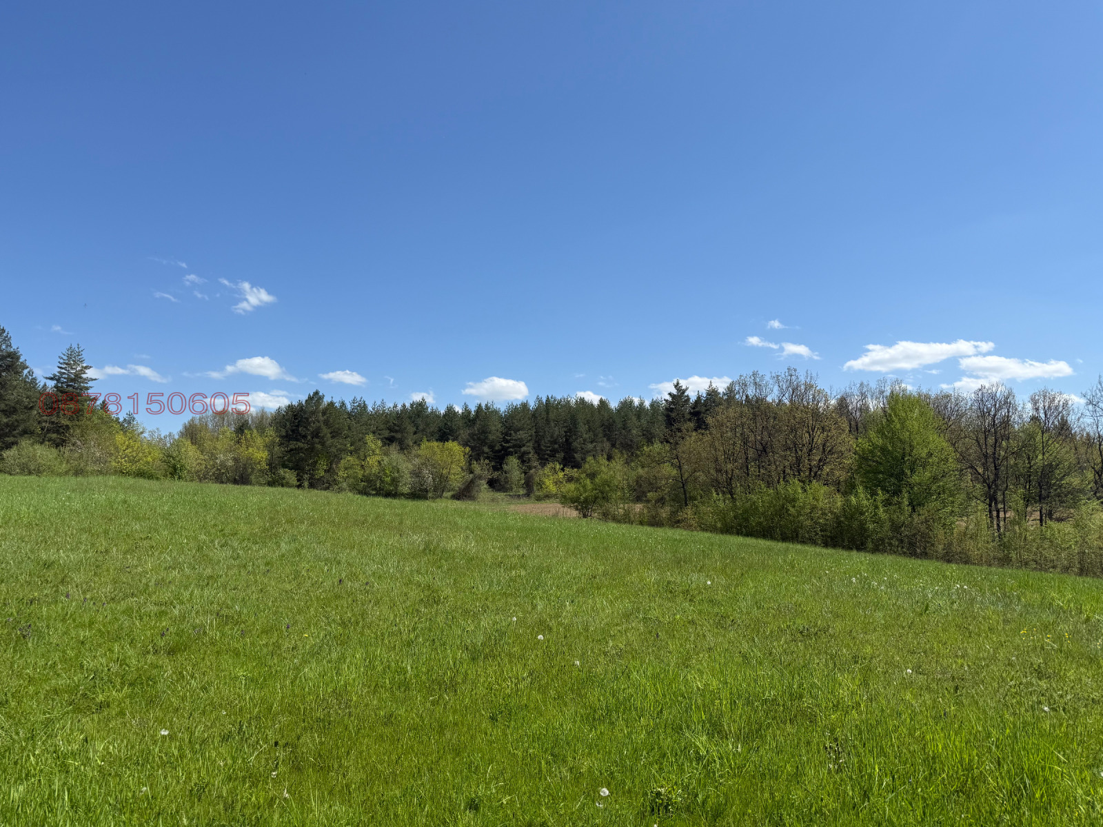 Продава ПАРЦЕЛ, с. Патрешко, област Ловеч, снимка 2 - Парцели - 54335649