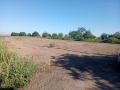 Продава ПАРЦЕЛ, с. Покрайна, област Видин, снимка 4