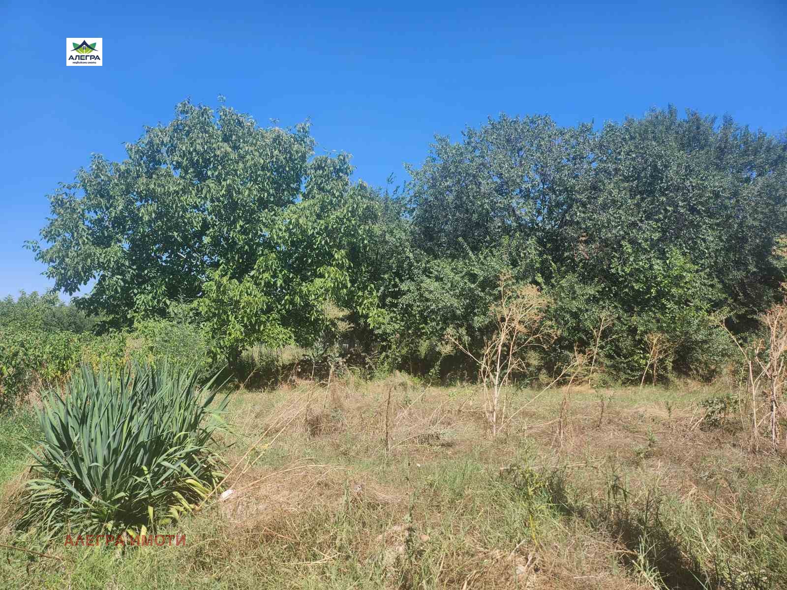 Продава ПАРЦЕЛ, с. Мало Конаре, област Пазарджик, снимка 2 - Парцели - 46703543