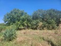 Продава ПАРЦЕЛ, с. Мало Конаре, област Пазарджик, снимка 2