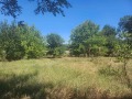 Продава ПАРЦЕЛ, с. Мало Конаре, област Пазарджик, снимка 2