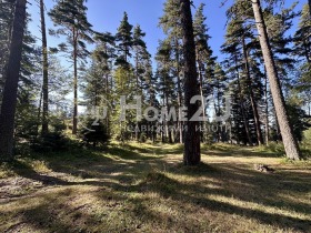 Парцел с. Добралък, област Пловдив 2