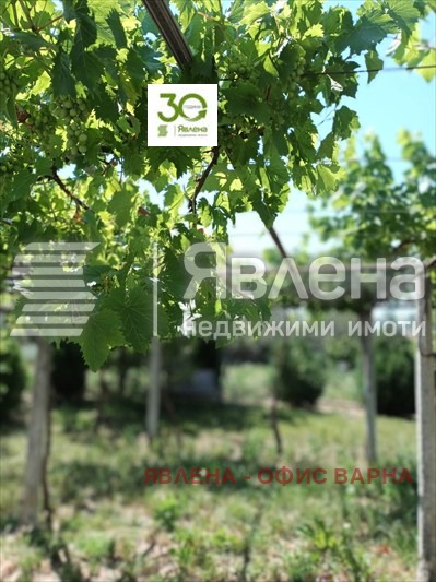 Продава КЪЩА, с. Ветрино, област Варна, снимка 7 - Къщи - 48421566