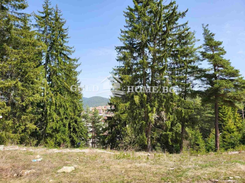 Na prodej  Vila oblast Smolyan , Dospat , 140 m2 | 44861495 - obraz [14]
