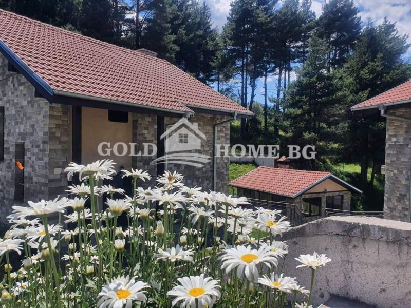 Na prodej  Vila oblast Smolyan , Dospat , 140 m2 | 44861495 - obraz [13]