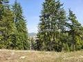Продава ВИЛА, област Смолян, гр. Доспат • 145000 € • 81190850 — Holmes.bg
