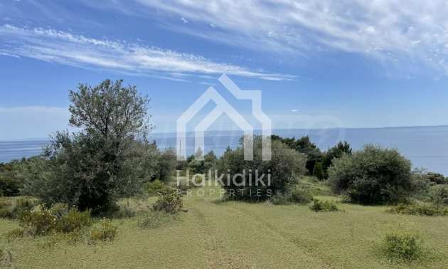 Продава ПАРЦЕЛ | Imot.bg — изображение 13