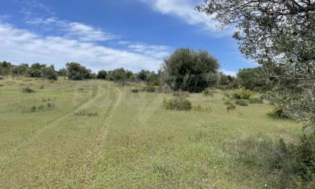 Продава ПАРЦЕЛ | Imot.bg — изображение 6