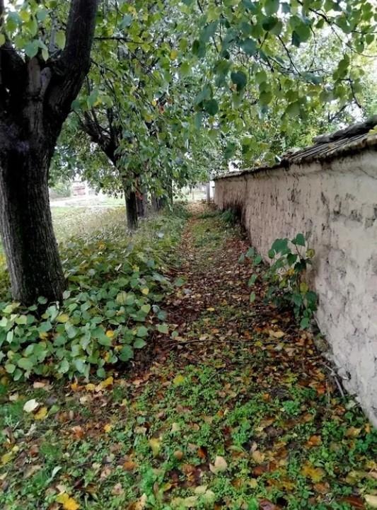 Продава КЪЩА, с. Царевци, област Варна, снимка 5 - Къщи - 54631417