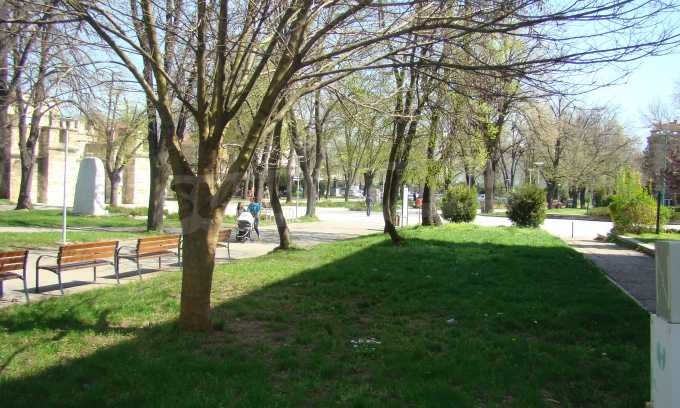 Продава МАГАЗИН, гр. Видин, Център, снимка 16 - Магазини - 54300231