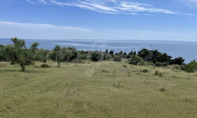 Продава ПАРЦЕЛ, Извън страната, област Извън страната, снимка 2 - Парцели - 51239058