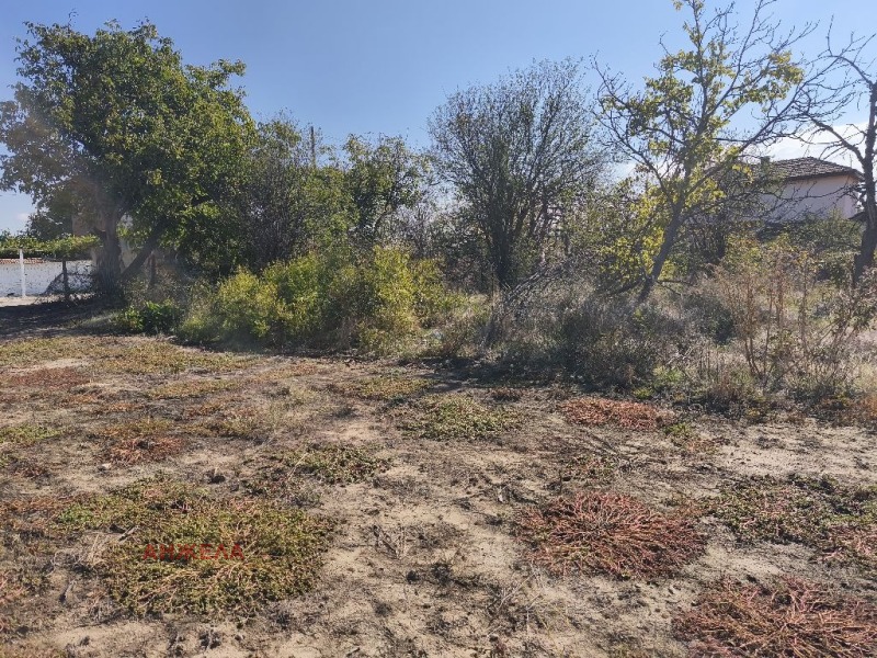 Продава ПАРЦЕЛ, с. Калугерово, област Пазарджик, снимка 3 - Парцели - 52260828