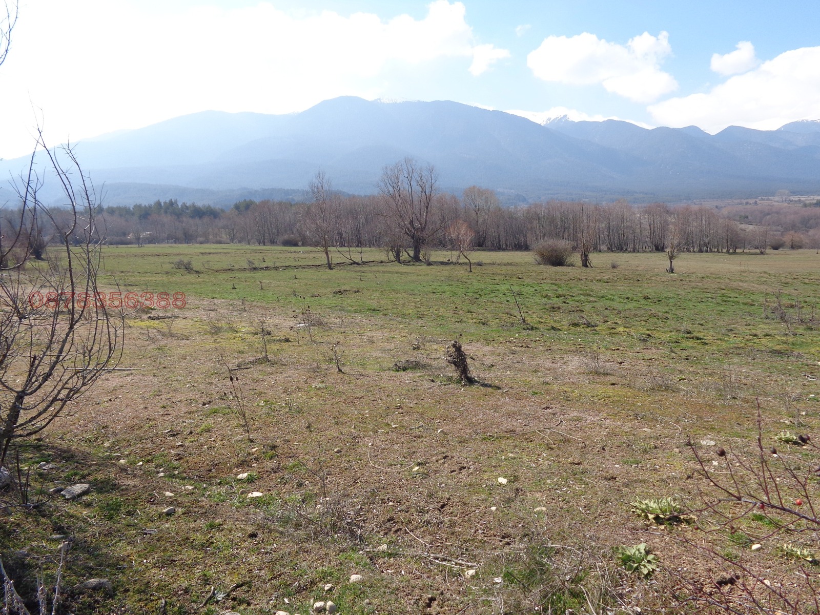 Продава ЗЕМЕДЕЛСКА ЗЕМЯ, гр. Банско, област Благоевград, снимка 2 - Земеделска земя - 54202093