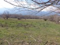 Продава ЗЕМЕДЕЛСКА ЗЕМЯ, гр. Банско, област Благоевград, снимка 5
