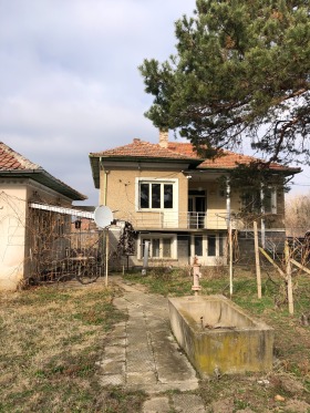 Hus Bregovo, region Vidin 1