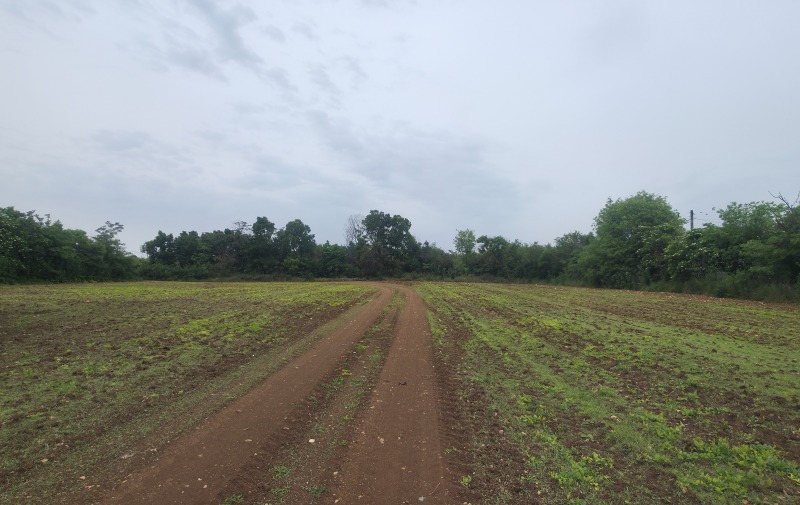 Til salgs  Plott region Dobrich , Balgarevo , 1350 kvm | 94595597 - bilde [2]