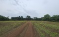 Продава ПАРЦЕЛ, област Добрич, с. Българево • 39000 € • 67504245 — Holmes.bg
