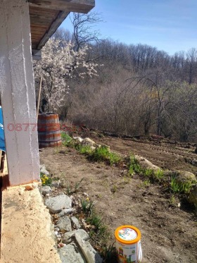 Hus Osenovo, region Varna 7