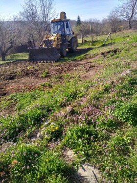 Hus Osenovo, region Varna 5