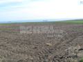 Продава ЗЕМЕДЕЛСКА ЗЕМЯ, с. Българево, област Добрич, снимка 6